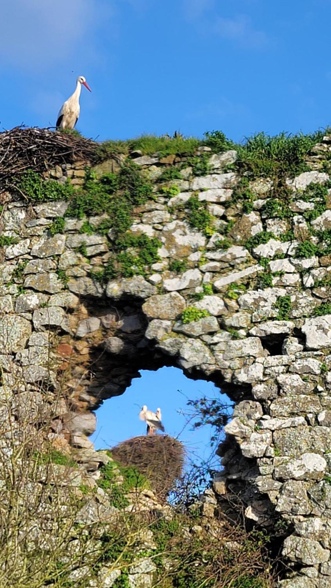 Gite Au Coeur Du Dday Brevands Exteriér fotografie